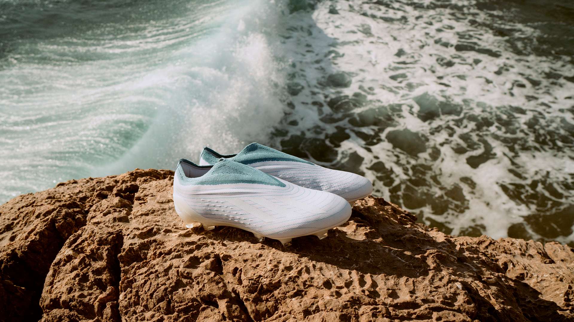 得了一个宝 得了一个宝